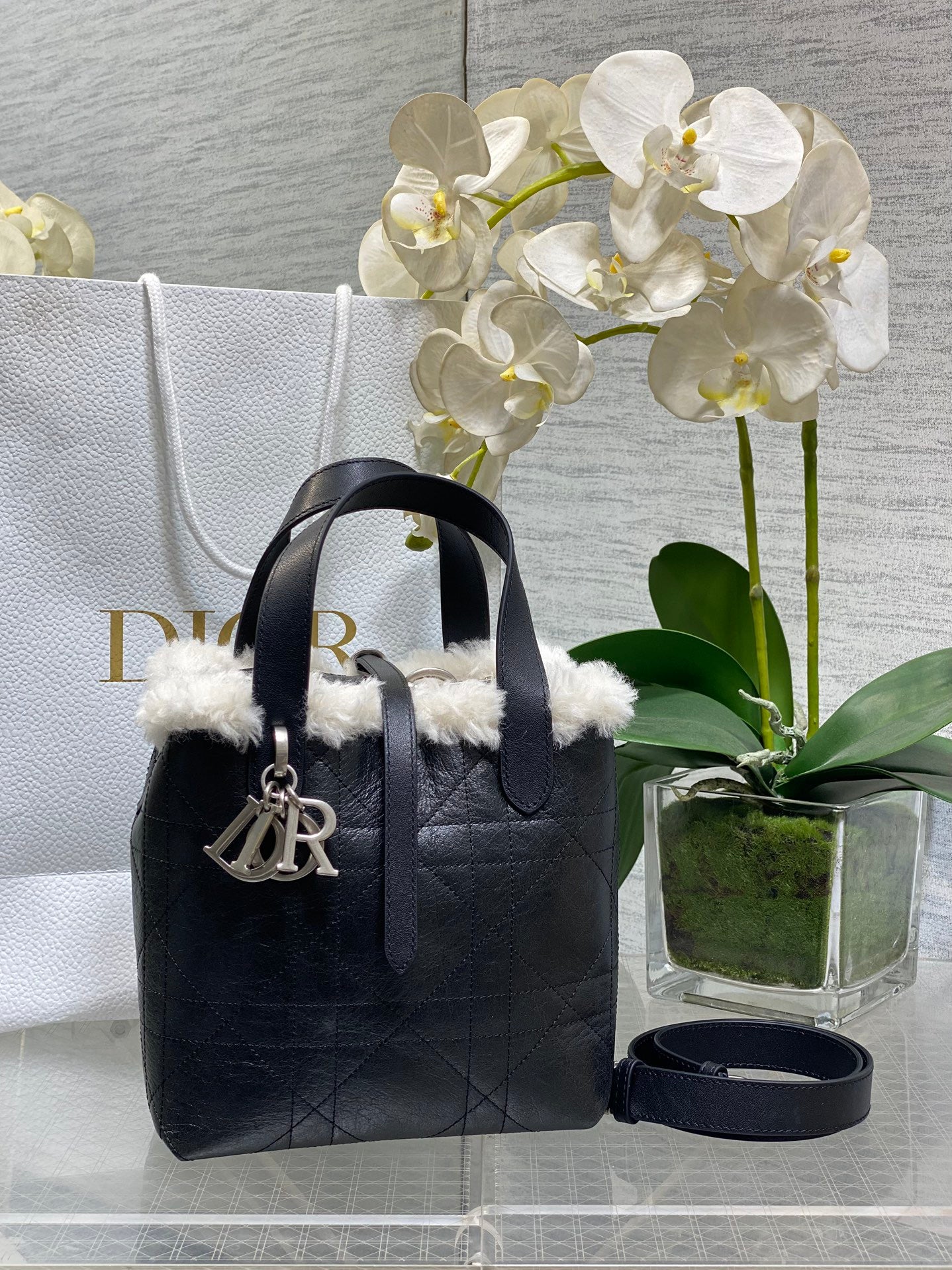 Dior Bags1