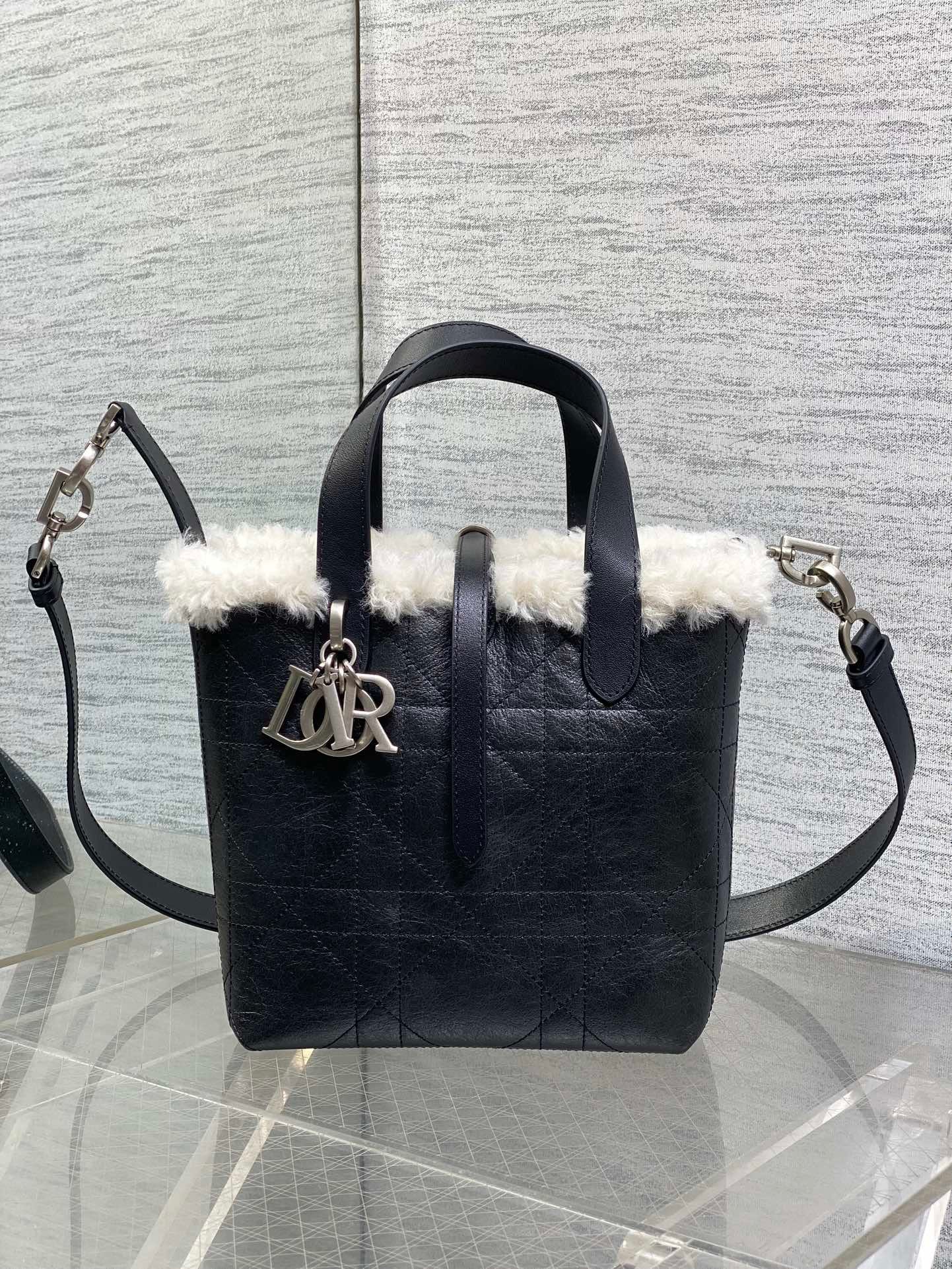 Dior Bags1